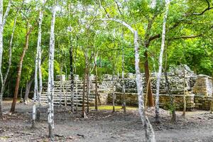 coba Maya ruínas pirâmides e bola jogos tropical selva México. foto