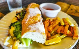 baguete sanduíche torrada pão com frango tomate salada batatas fritas. foto