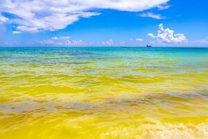 praia tropical do caribe água turquesa clara playa del carmen méxico. foto