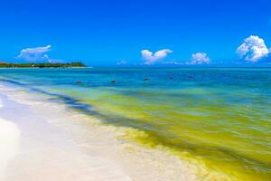 praia tropical do caribe água turquesa clara playa del carmen méxico. foto