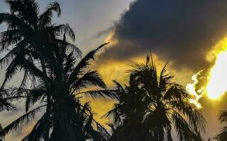 colorida dourado pôr do sol nascer do sol tropical caribe Palma árvores nuvens México. foto