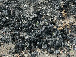 fechar acima Preto carvão depois de a fogo dentro natureza. foto