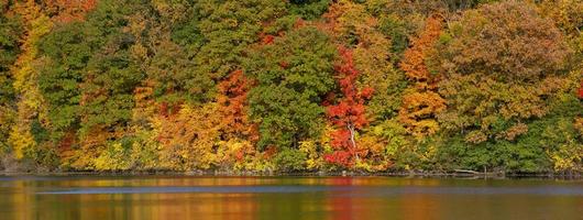 vista panorâmica da exuberante folhagem de outono na zona rural de Michigan