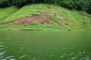 lindo panorama para rio com tropical chuva floresta e selvagem selva dentro Tailândia foto