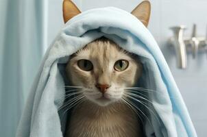uma magro gato é secagem dentro uma toalha depois de uma banho. generativo ai foto