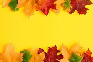 quadro de folhas de bordo de outono caídas em um fundo amarelo brilhante. folhagem de outono colorida. pano de fundo para o projeto. foto