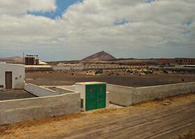 cenário com a da cidade característica branco edifícios a partir de a espanhol ilha do Lanzarote em uma caloroso verão dia foto