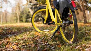 bicicleta amarela com folhas caídas no sol poente. parque de outono foto