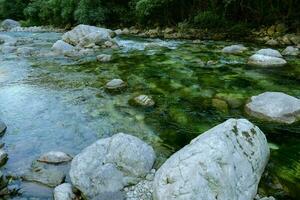 uma rio com pedras e água dentro a meio do uma floresta foto