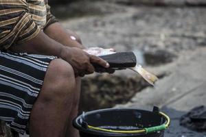 os frutos do mar variados vendidos no mercado de peixes foto