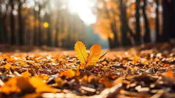 outono folhas em a terra dentro a floresta. outono fundo. ai gerado. foto
