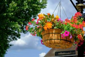 colorida flor Panela suspenso dentro a ar com pequeno correntes foto