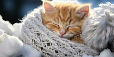fofa gatinho dormir dentro uma branco tricotado cachecol ai gerado foto