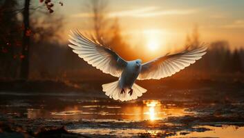 Pombo vôo dentro a pôr do sol sobre a lago ai gerado foto