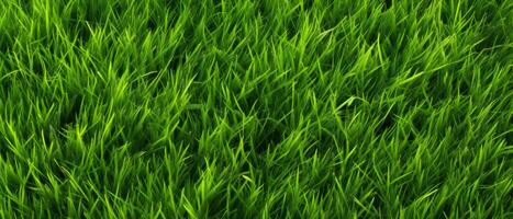 gramado textura, verde Relva fundo, ai gerado foto