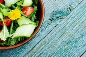 Primavera salada com dentes de leão foto