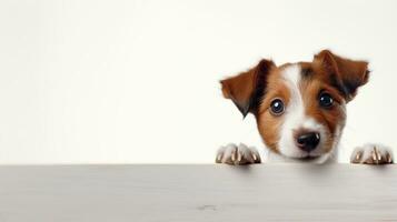 fofa cachorro, filhote de cachorro, bicho de estimação, branco fundo. generativo ai foto