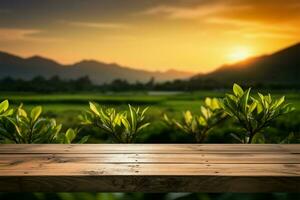 de madeira chão, sereno chá plantação pôr do sol pano de fundo dentro lindo borrão ai gerado foto