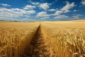lindo agrícola campo com amadurecimento trigo perto estrada. gerar ai foto