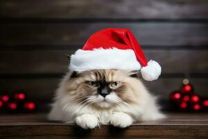 Natal boneca de pano gato vestindo fofo santa barba e boné isolado em uma branco fundo foto