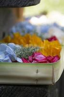flores coloridas servindo para decoração de ocasião foto