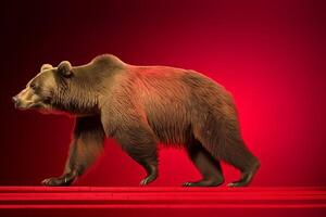 uma Urso é caminhando em uma vermelho fundo foto