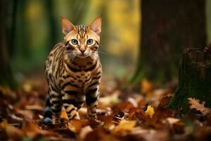 selvagem Bengala gato floresta. gerar ai foto