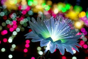 fechar-se iluminação flores com luz brilhando acima em colorida borrado e bokeh em noite Tempo fundo foto