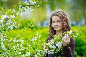 lindo menina entre cereja flores dentro Primavera. retrato do uma menina com Castanho cabelo e verde olhos. foto