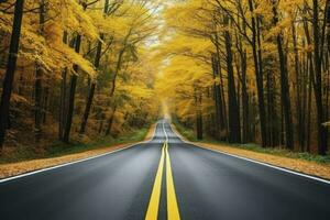 asfalto concreto estrada com caído folhas dentro outono floresta. ai gerado foto