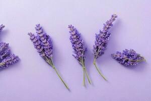 lavanda flor. fundo. ai generativo pró foto