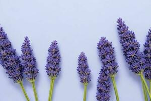 lavanda flor. fundo. ai generativo pró foto