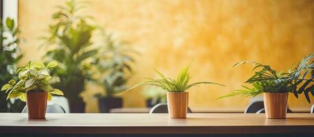 plantas dentro panelas em cafeteria mesa foto