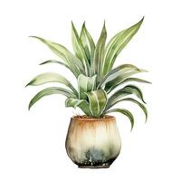 casa plantar dentro Panela, aguarela ilustração, isolado clipart em branco fundo, verde folhas, flor foto