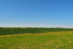 Primavera minimalista panorama com verde Relva e azul céu foto
