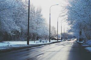 inverno panorama com fresco neve e árvores foto