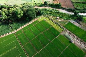 paisagem de campo de arroz em casca na Ásia, vista aérea de campos de arroz foto