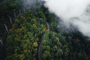 estrada na floresta, estação das chuvas, árvores da natureza e viagens com nevoeiro foto