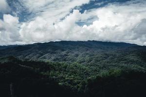 estrada na floresta, estação das chuvas, árvores da natureza e viagens com nevoeiro foto