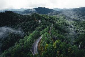 estrada na floresta, estação das chuvas, árvores da natureza e viagens com nevoeiro foto