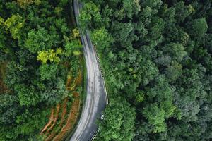 estrada na floresta, estação das chuvas, árvores da natureza e viagens com nevoeiro foto