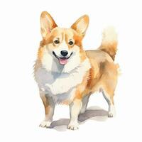 fofa corgi. aguarela ilustração do uma vermelho cachorro. grampo arte em branco fundo. generativo ai foto