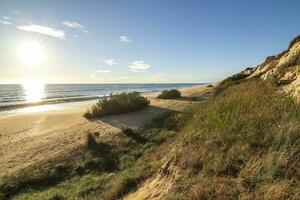 1 do a a maioria lindo praias dentro Espanha, chamado cuesta maneli, huelva, dentro Espanha. cercado de dunas, vegetação e falésias. uma linda de praia. foto