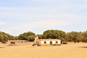 uma pequeno casa dentro a meio do uma campo foto