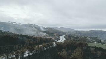 conseqüência do uma queimado floresta, com persistente fumaça Aumentar a partir de a chamuscado panorama foto