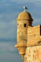 uma gaivota empoleirado em topo do uma torre foto