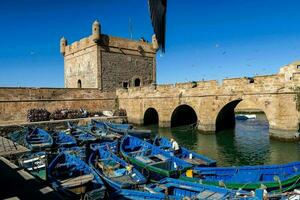 azul pescaria barcos ancorado dentro a Porto foto