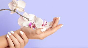 jovem mulher mãos com branco unhas em uma cor do 2022 ano lavanda fundo orquídea flores foto