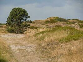 a ilha de spiekeroog foto