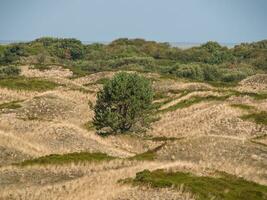 a ilha de spiekeroog foto